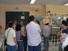 VI Jornadas del SI 25